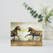 Mustang Battle Briefkaart (Staand voorkant)