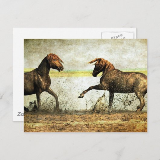 Mustang Battle Briefkaart (Voorkant / Achterkant)