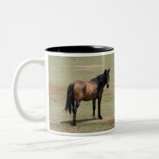Mustang~BESPAAR EEN LEVEN, NEEM EEN REDDINGSMok AA Tweekleurige Koffiemok