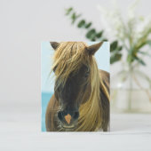 Mustang Briefkaart (Staand voorkant)