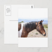 Mustang Briefkaart (Voorkant / Achterkant)