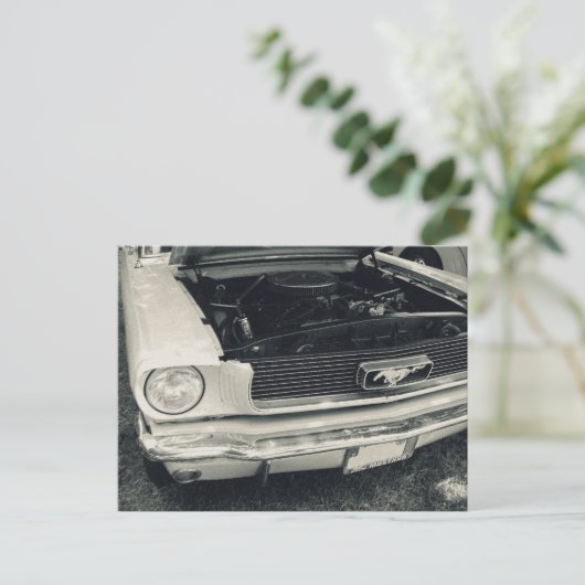 Mustang briefkaart (Staand voorkant)