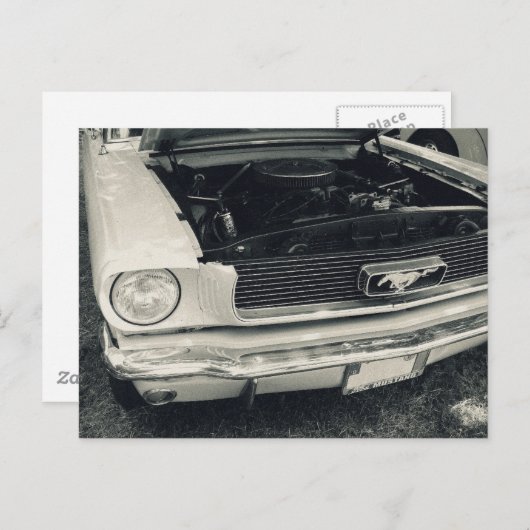 Mustang briefkaart (Voorkant / Achterkant)