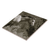  MUSTANG CERAMIC TILE TEGELTJE (Zijkant)