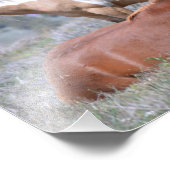 Mustang Charm 19 x 13 inch Pro. Fotopapier Satin Foto Afdruk (Hoek)