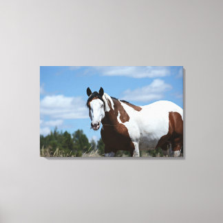 Mustang Custom Canvas Print (30.18 "x19.12")1.5",