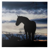 Mustang en Storm Fine Art Tegeltje (Voorkant)