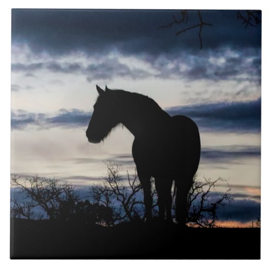 Mustang en Storm Fine Art Tegeltje (Voorkant)