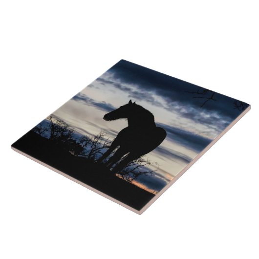 Mustang en Storm Fine Art Tegeltje (Zijkant)