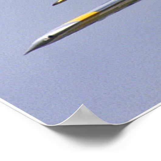 Mustang en Thunderbolt Poster (Hoek)