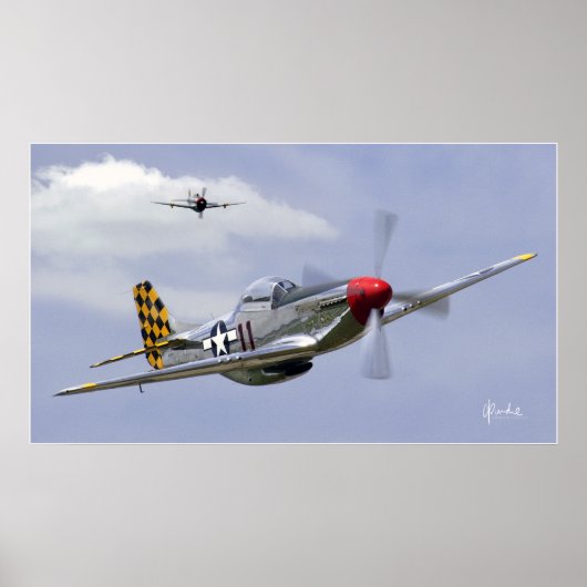 Mustang en Thunderbolt Poster (Voorkant)