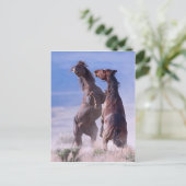 Mustang Fight 2 Briefkaart (Staand voorkant)