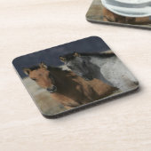 Mustang Foal Headshot Bier Onderzetter (Linkerzijde)
