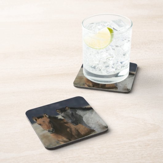 Mustang Foal Headshot Bier Onderzetter (Rechterzijde)