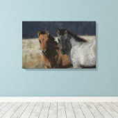Mustang Foal Headshot Canvas Afdruk (Insitu (Houten vloer))
