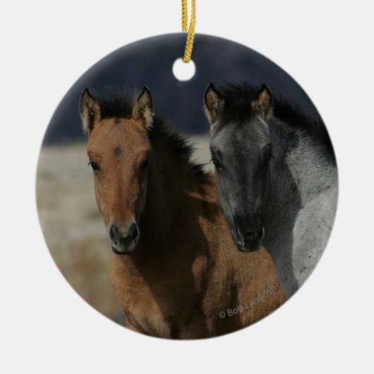 Mustang Foal Headshot Keramisch Ornament (Voorkant)