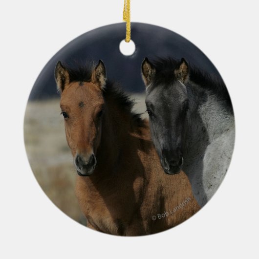 Mustang Foal Headshot Keramisch Ornament (Achterkant)