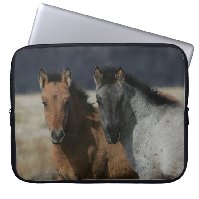Mustang Foal Headshot Laptop Sleeve (Voorkant)