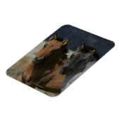Mustang Foal Headshot Magneet (Linkerzijde)