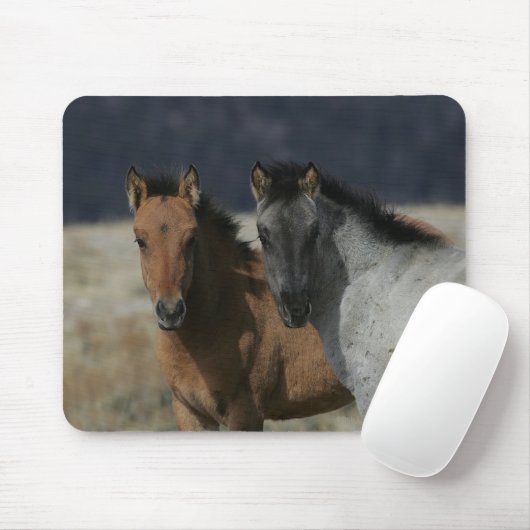 Mustang Foal Headshot Muismat (Met muis)