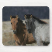 Mustang Foal Headshot Muismat (Voorkant)