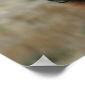 Mustang Foal Headshot Poster (Hoek)