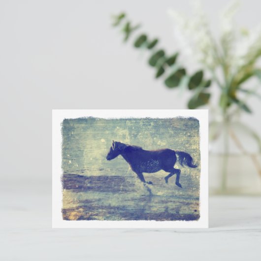 Mustang Gallops op het strand Briefkaart (Staand voorkant)