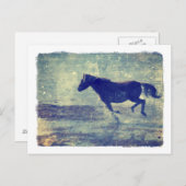 Mustang Gallops op het strand Briefkaart (Voorkant / Achterkant)