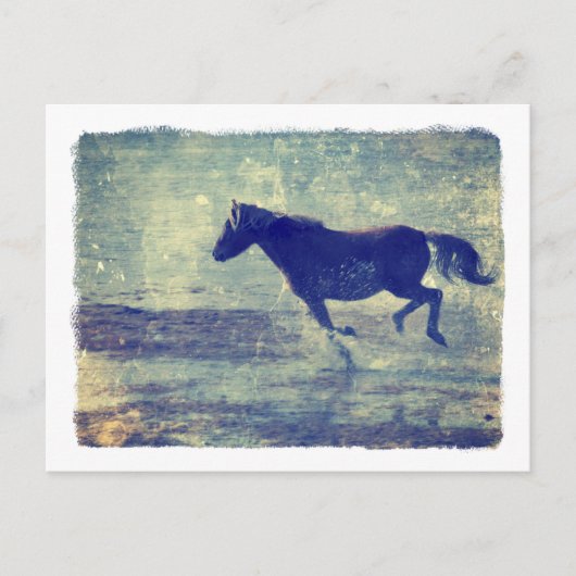 Mustang Gallops op het strand Briefkaart (Voorkant)