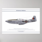 Mustang GB 213 Sqn 1 Poster (Voorkant)