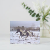 Mustang-geest Briefkaart (Staand voorkant)