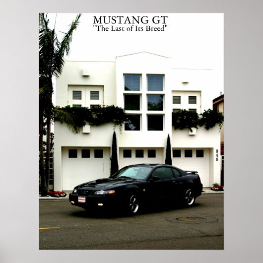 Mustang GT Poster (Voorkant)
