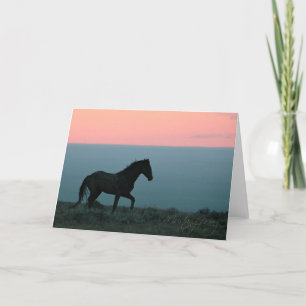 Mustang Hengst bij Sunset Wenskaart Kaart