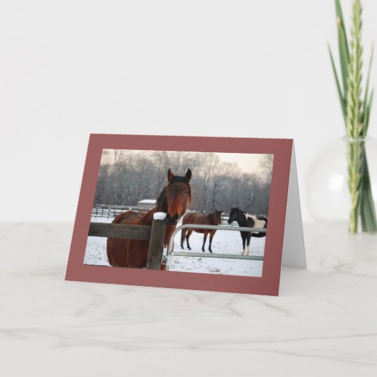 Mustang Holiday Kaart (Voorkant)