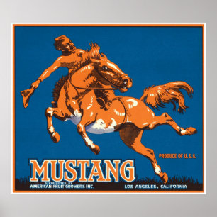 Mustang Horse Cowboy Los Angeles California Vereni Poster