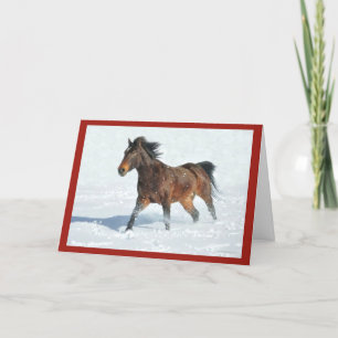 Mustang Horse die in SneeuwkerstKaart rijdt Kaart