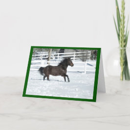 Mustang Horse die in SneeuwkerstKaart rijdt Kaart