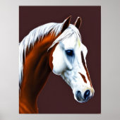 Mustang Horse Poster (Voorkant)