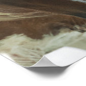 Mustang Horse Print (Hoek)