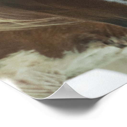 Mustang Horse Print (Hoek)