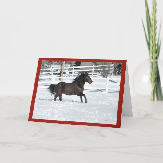 Mustang Horse Running Seasons Greetings Kaart (Voorkant)