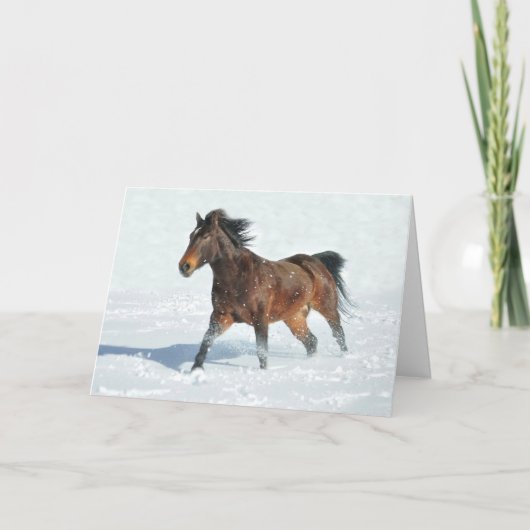 Mustang Horse Running Snow Seasons Greetings Kaart (Voorkant)