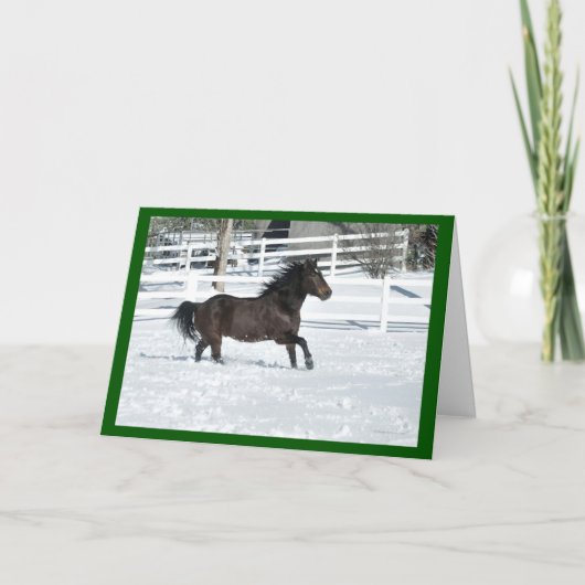 Mustang Horse Running Snow Seasons Greetings Kaart (Voorkant)