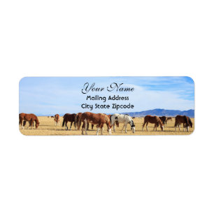 Mustang Horses Return Address Etiket