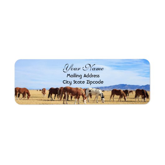 Mustang Horses Return Address Etiket (Voorkant)