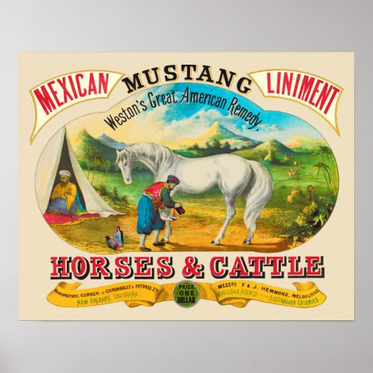 Mustang Liniment Advertising Poster (Voorkant)
