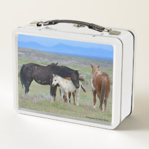 Mustang Lunch Box