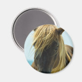 Mustang Magnet (Voorkant / Achterkant)