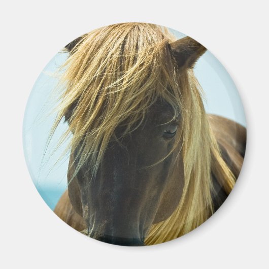 Mustang Magnet (Voorkant)