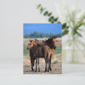 Mustang Mare en kalveren met vogels Briefkaart (Staand voorkant)